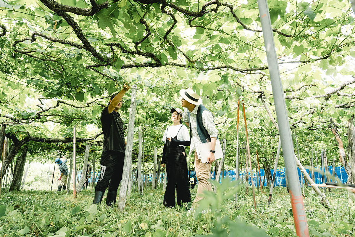 GRAPE REPUBLIC 探訪