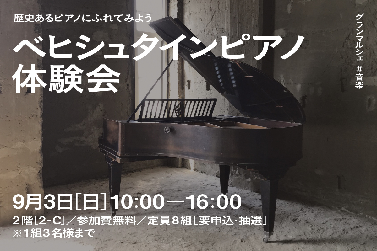 C.BECHSTEIN L #129813